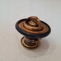 FORD TRANSIT 91-00 2.5 D TERMOSTAT WAHLER 4270.88D