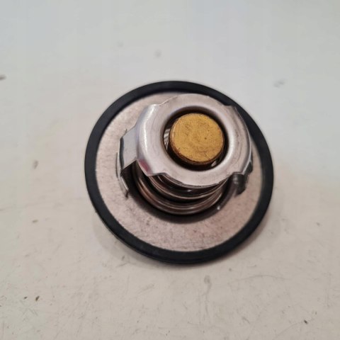 PEUGEOT 405 1.6 1.8 1.9 2.0 TERMOSTAT DP2310.14.0254