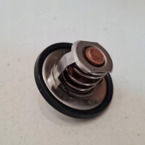 RENAULT 19 1.7 TERMOSTAT 24100.90