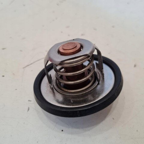 RENAULT 19 1.7 TERMOSTAT 24100.90