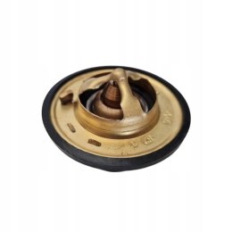 FIAT DUCATO PEUGEOT BOXER CITROEN JUMPER 2.5 D TERMOSTAT TV 145