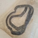 FORD ESCORT 1.4 1.6 USZCZELKA MISKI OLEJOWEJ ELRING 587.486