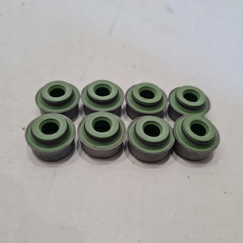 OPEL ASTRA F VECTRA A 1.6 1.8 2.0 USZCZELNIACZE ZAWOROWE KPL AJUSA 57003800 OPEL ASTRA F VECTRA A 1.6 1.8 2.0 USZCZELNIACZE ZAWOROWE KPL AJUSA 57003800