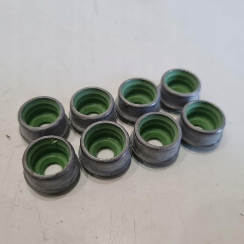 OPEL ASTRA F VECTRA A 1.6 1.8 2.0 USZCZELNIACZE ZAWOROWE KPL AJUSA 57003800 OPEL ASTRA F VECTRA A 1.6 1.8 2.0 USZCZELNIACZE ZAWOROWE KPL AJUSA 57003800