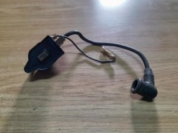 MARUYAMA EE230 CEWKA MODUŁ ISKROWNIK