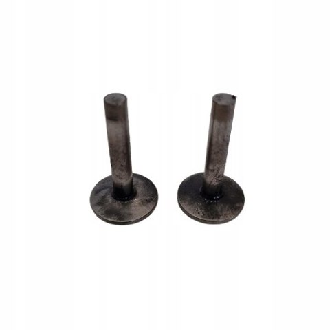 TECUMSEH LAV 120 POPYCHACZE ZAWOROWE KOMPLET TECUMSEH LAV 120 POPYCHACZE ZAWOROWE KOMPLET