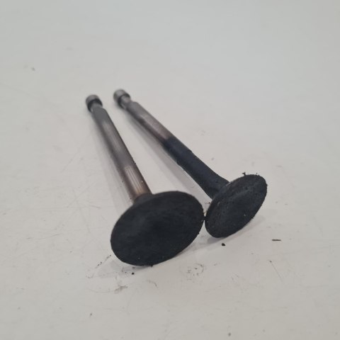 TECUMSEH BH 173 WOLF GERATE ZAWÓR SSĄCY WYDECHOWY KPL TECUMSEH BH 173 WOLF GERATE ZAWÓR SSĄCY WYDECHOWY KPL
