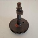 BRIGGS & STRATTON 5HP WAŁEK ROZRZĄDU