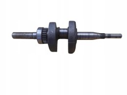BOUYER 111 BRIGGS 5HP WAŁ KORBOWY