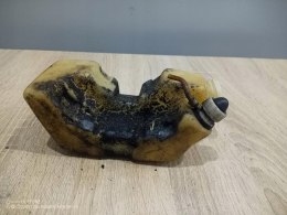 HUSQVARNA 24R ZBIORNIK PALIWA BAK