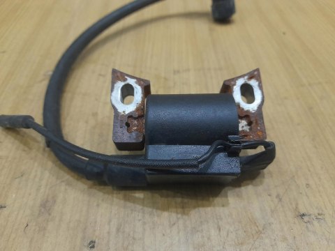 MOTOPOMPA BENZA BRP 100 CEWKA MODUŁ ISKROWNIK MOTOPOMPA BENZA BRP 100 CEWKA MODUŁ ISKROWNIK