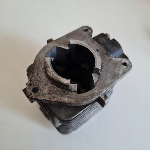 AL-KO LT 250 CYLINDER TŁOK ORYGINAŁ KOMPLET AL-KO LT 250 CYLINDER TŁOK ORYGINAŁ KOMPLET
