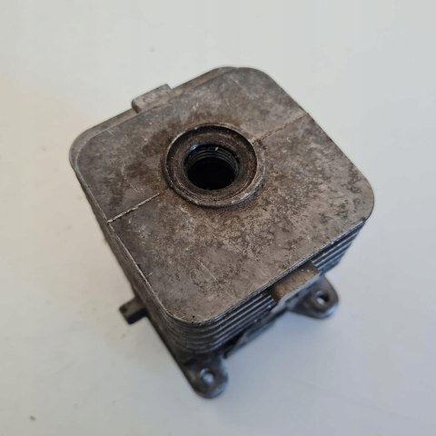 AL-KO LT 250 CYLINDER TŁOK ORYGINAŁ KOMPLET AL-KO LT 250 CYLINDER TŁOK ORYGINAŁ KOMPLET