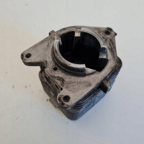 AL-KO LT 250 CYLINDER TŁOK ORYGINAŁ KOMPLET AL-KO LT 250 CYLINDER TŁOK ORYGINAŁ KOMPLET