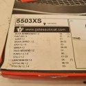 FIAT BRAVO BRAVA STILO PUNTO DOBLO PASEK ROZRZĄDU GATES 5503XS