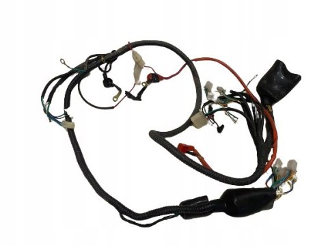 SKUTER JAZZ HAIZHIMENG LB50QT-16 HYOSUNG WIĄZKA INSTALACJA ELEKTRYCZNA SKUTER JAZZ HAIZHIMENG LB50QT-16 HYOSUNG WIĄZKA INSTALACJA ELEKTRYCZNA