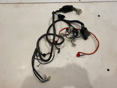 SKUTER JAZZ HAIZHIMENG LB50QT-16 HYOSUNG WIĄZKA INSTALACJA ELEKTRYCZNA SKUTER JAZZ HAIZHIMENG LB50QT-16 HYOSUNG WIĄZKA INSTALACJA ELEKTRYCZNA