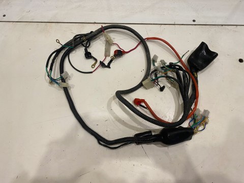 SKUTER JAZZ HAIZHIMENG LB50QT-16 HYOSUNG WIĄZKA INSTALACJA ELEKTRYCZNA SKUTER JAZZ HAIZHIMENG LB50QT-16 HYOSUNG WIĄZKA INSTALACJA ELEKTRYCZNA