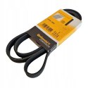 BMW SERIA 3 E36 318 TDS PASEK KLINOWY CONTITECH 5PK1885