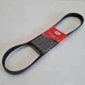 NISSAN JUKE MICRA K12 NOTE PASEK KLINOWY GATES 7PK1043
