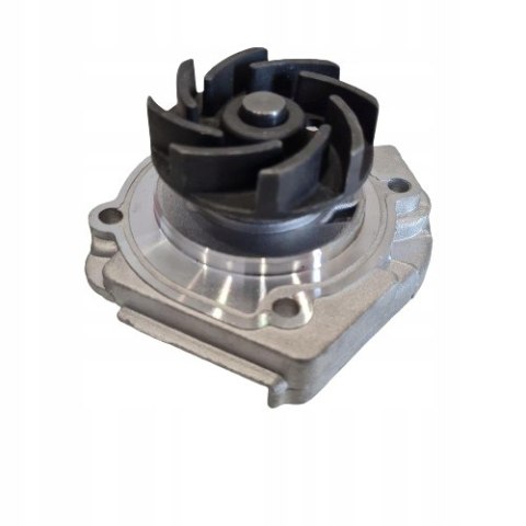 FIAT PALIO PUNTO LANCIA Y POMPA WODY RUVILLE 65817 FIAT PALIO PUNTO LANCIA Y POMPA WODY RUVILLE 65817