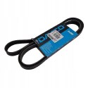 BMW CHEVROLET PASEK KLINOWY WIELOROWKOWY DAYCO 5PK1885