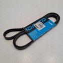 BMW CHEVROLET PASEK KLINOWY WIELOROWKOWY DAYCO 5PK1885