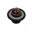 FORD MAZDA TERMOSTAT CALORSTAT TH6526.88J