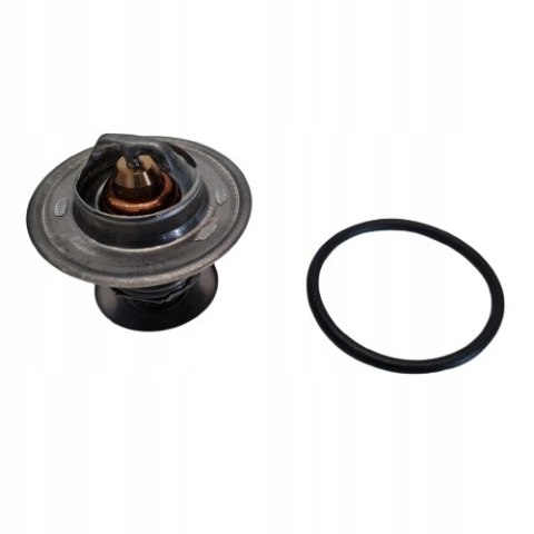 FORD VOLKSWAGEN SEAT TERMOSTAT CALORSTAT TH3349.87J