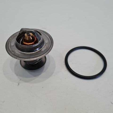 FORD VOLKSWAGEN SEAT TERMOSTAT CALORSTAT TH3349.87J