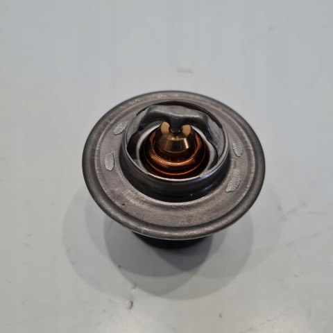 FORD VOLKSWAGEN SEAT TERMOSTAT CALORSTAT TH3349.87J