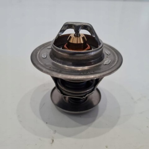 FORD VOLKSWAGEN SEAT TERMOSTAT CALORSTAT TH3349.87J