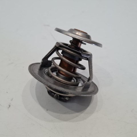 FORD VOLKSWAGEN SEAT TERMOSTAT CALORSTAT TH3349.87J