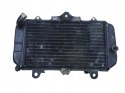 YAMAHA XJ 700 750 MAXIM CHŁODNICA WODY CIECZY