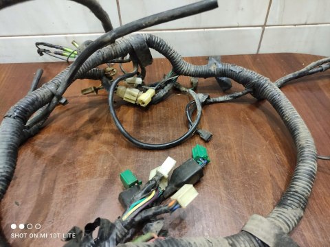 ZIPP STAR 250 ZONGSHEN V2 WIĄZKA ELEKTRYCZNA