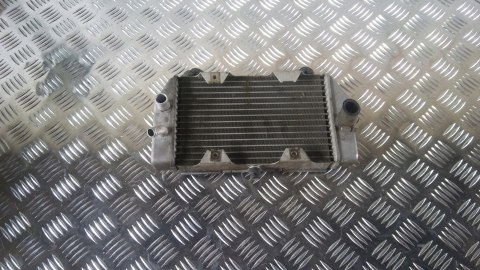 Honda Forza 250, Chłodnica Wody