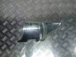 Regal Raptor 125, Osłona chrom silnika