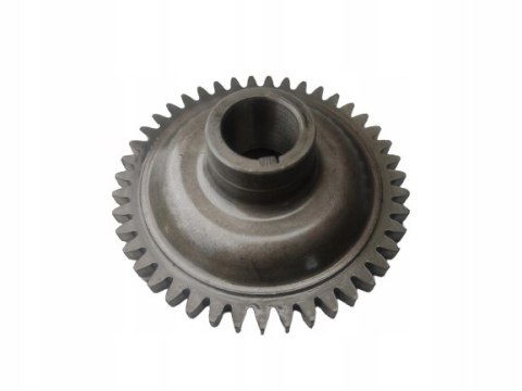 YAMAHA YFM 350 WARRIOR RAPTOR ZĘBATKA TRYB