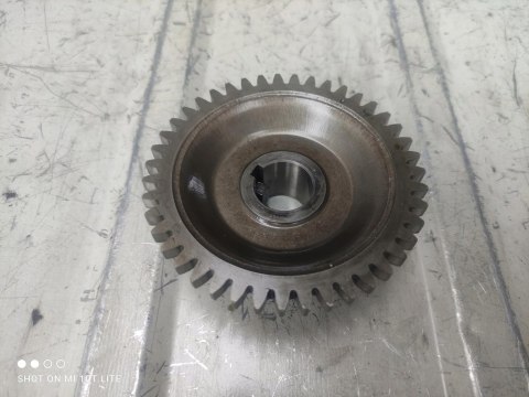 YAMAHA YFM 350 WARRIOR RAPTOR ZĘBATKA TRYB