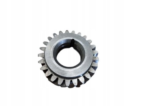 TRYB ZĘBATKA CAGIVA ELEFANT 650 DUCATI DM650LE TRYB ZĘBATKA CAGIVA ELEFANT 650 DUCATI DM650LE