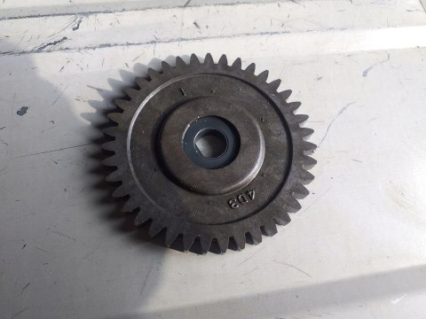 TRYB ZĘBATKA YAMAHA RAPTOR 250