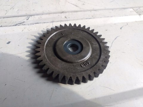 TRYB ZĘBATKA YAMAHA RAPTOR 250