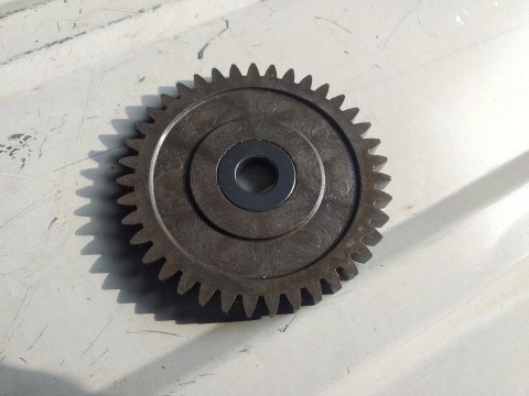 TRYB ZĘBATKA YAMAHA RAPTOR 250