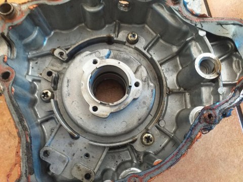 POKRYWA DEKIEL KAPA JIANSHE PUMA 250 LONCIN BASHAN