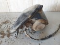 REFLEKTOR LAMPA JIANSHE PUMA 250 LONCIN BASHAN