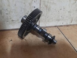 WAŁEK SILNIKA POLARIS D-BAT 300