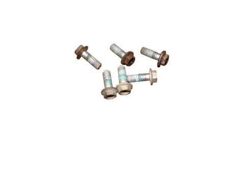 BMW G 650 X CHALLANGE - śruby tarczy tył