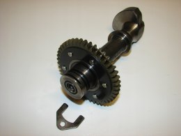 YAMAHA TDM 850 4TX - wałek wyrównujący