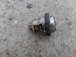 TERMOSTAT SUZUKI RG 80