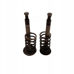 HONDA F 200 ZAWÓR SSĄCY WYDECHOWY KOMPLET